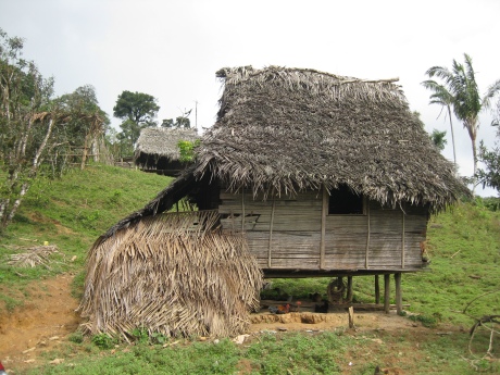Hütte der Einheimischen